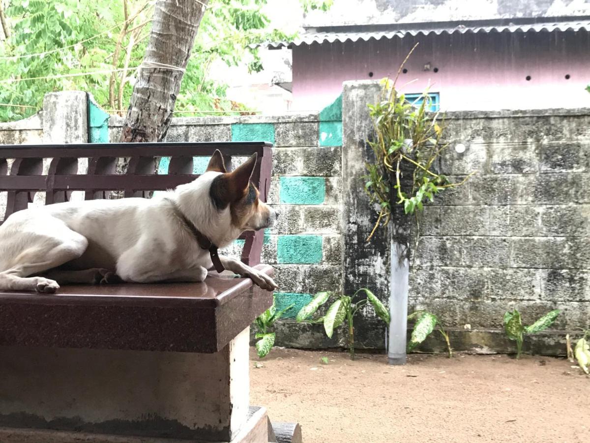 Beachaholic Homestay Alappuzha Kültér fotó